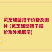灵芝破壁孢子价格及图片 (灵芝破壁孢子报价及外观展示)