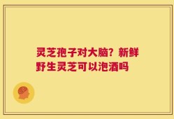 灵芝孢子对大脑？新鲜野生灵芝可以泡酒吗