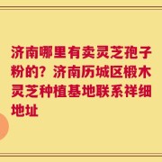 济南哪里有卖灵芝孢子粉的？济南历城区椴木灵芝种植基地联系祥细地址