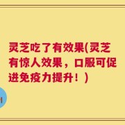 灵芝吃了有效果(灵芝有惊人效果，口服可促进免疫力提升！)
