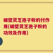 破壁灵芝孢子粉的付作用(破壁灵芝孢子粉的功效及作用)
