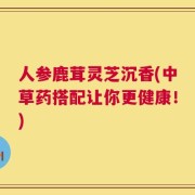 人参鹿茸灵芝沉香(中草药搭配让你更健康！)