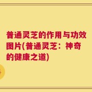 普通灵芝的作用与功效图片(普通灵芝：神奇的健康之道)