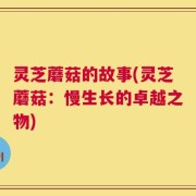 灵芝蘑菇的故事(灵芝蘑菇：慢生长的卓越之物)