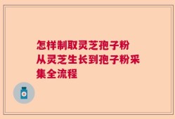 怎样制取灵芝孢子粉 从灵芝生长到孢子粉采集全流程