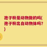 孢子粉是动物做的吗(孢子粉出自动物体吗？)