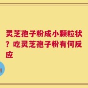 灵芝孢子粉成小颗粒状？吃灵芝孢子粉有何反应