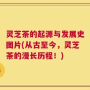 灵芝茶的起源与发展史图片(从古至今，灵芝茶的漫长历程！)