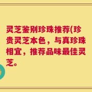灵芝鉴别珍珠推荐(珍贵灵芝本色，与真珍珠相宜，推荐品味最佳灵芝。