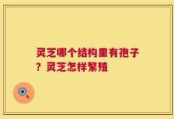 灵芝哪个结构里有孢子？灵芝怎样繁殖