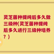 灵芝菌种提纯后多久做三级种(灵芝菌种提纯后多久进行三级种培养？)