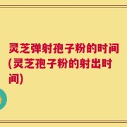 灵芝弹射孢子粉的时间(灵芝孢子粉的射出时间)