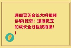 珊瑚灵芝会长大吗视频讲解(惊奇！珊瑚灵芝的成长全过程被拍摄！)