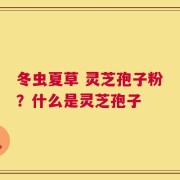 冬虫夏草 灵芝孢子粉？什么是灵芝孢子