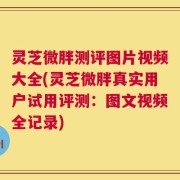灵芝微胖测评图片视频大全(灵芝微胖真实用户试用评测：图文视频全记录)