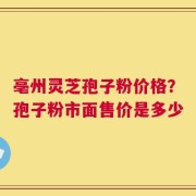 亳州灵芝孢子粉价格？孢子粉市面售价是多少