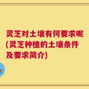 灵芝对土壤有何要求呢(灵芝种植的土壤条件及要求简介)