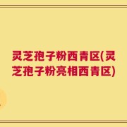灵芝孢子粉西青区(灵芝孢子粉亮相西青区)