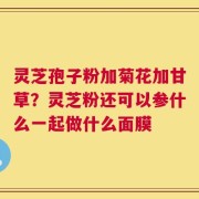 灵芝孢子粉加菊花加甘草？灵芝粉还可以参什么一起做什么面膜