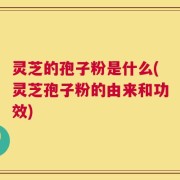 灵芝的孢子粉是什么(灵芝孢子粉的由来和功效)
