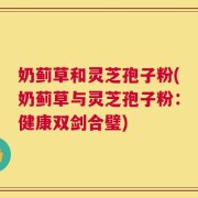 奶蓟草和灵芝孢子粉(奶蓟草与灵芝孢子粉：健康双剑合璧)