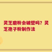 灵芝磨粉会破壁吗？灵芝孢子粉制作法