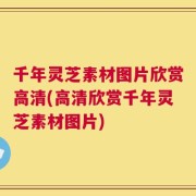 千年灵芝素材图片欣赏高清(高清欣赏千年灵芝素材图片)