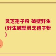 灵芝孢子粉 破壁野生(野生破壁灵芝孢子粉)