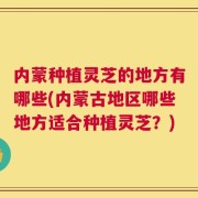 内蒙种植灵芝的地方有哪些(内蒙古地区哪些地方适合种植灵芝？)