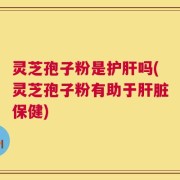 灵芝孢子粉是护肝吗(灵芝孢子粉有助于肝脏保健)