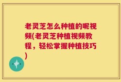 老灵芝怎么种植的呢视频(老灵芝种植视频教程，轻松掌握种植技巧)