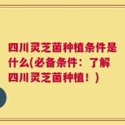 四川灵芝菌种植条件是什么(必备条件：了解四川灵芝菌种植！)