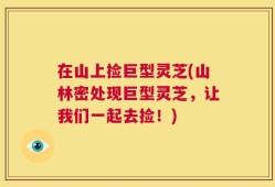 在山上捡巨型灵芝(山林密处现巨型灵芝，让我们一起去捡！)