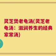 灵芝煲老龟汤(灵芝老龟汤：滋润养生的经典家常汤)