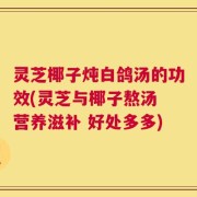 灵芝椰子炖白鸽汤的功效(灵芝与椰子熬汤 营养滋补 好处多多)