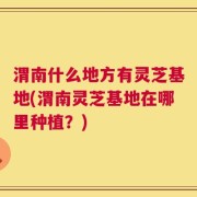 渭南什么地方有灵芝基地(渭南灵芝基地在哪里种植？)