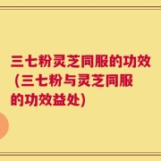 三七粉灵芝同服的功效 (三七粉与灵芝同服的功效益处)