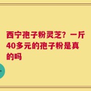 西宁孢子粉灵芝？一斤40多元的孢子粉是真的吗