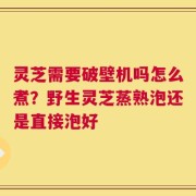 灵芝需要破壁机吗怎么煮？野生灵芝蒸熟泡还是直接泡好