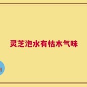 灵芝泡水有枯木气味