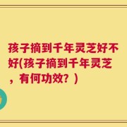 孩子摘到千年灵芝好不好(孩子摘到千年灵芝，有何功效？)