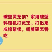 破壁灵芝创？家用破壁料理机打灵芝，打出来成棉絮状，嚼着硬怎吞吃