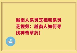 越南人采灵芝视频采灵芝视频：越南人如何寻找神奇草药)