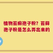 植物苔癣孢子粉？苔藓孢子粉是怎么弄出来的