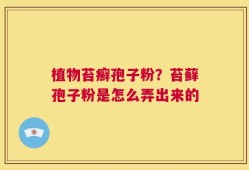 植物苔癣孢子粉？苔藓孢子粉是怎么弄出来的