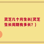 灵芝几个月生长(灵芝生长周期有多长？)