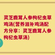 灵芝鹿茸人参枸杞虫草鸡汤(营养滋补鸡汤配方分享：灵芝鹿茸人参枸杞虫草汤)