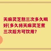 天麻灵芝熬三次多久喝好(多久将天麻灵芝煮三次后方可饮用？