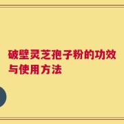 破壁灵芝孢子粉的功效与使用方法