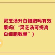 灵芝汤升白细胞吗有效果吗(“灵芝汤可提高白细胞数量”)
